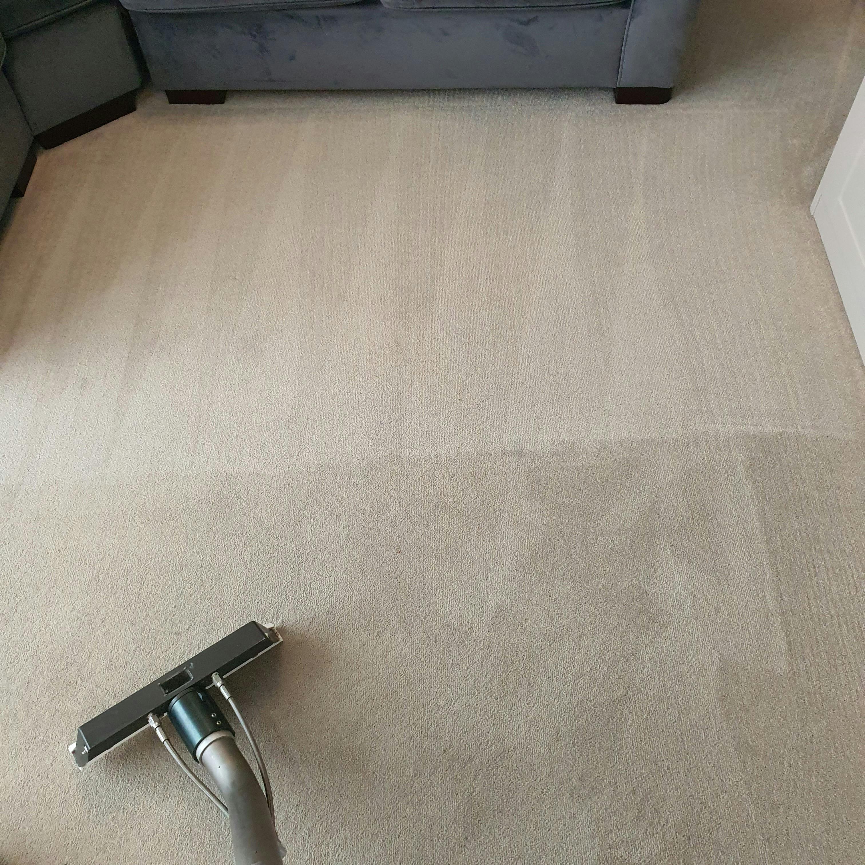 carpet flat